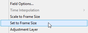 Resize video option - set to frame size